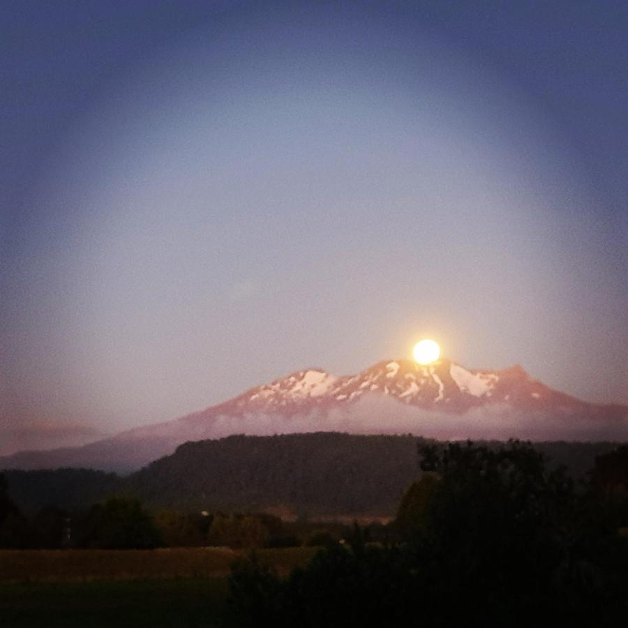 Beech Tree Lodge Ohakune Ngoại thất bức ảnh