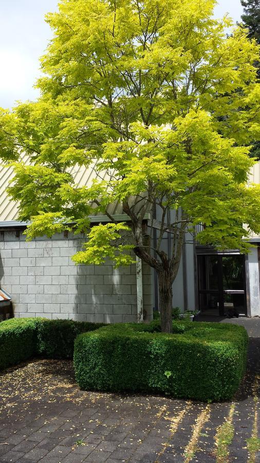 Beech Tree Lodge Ohakune Phòng bức ảnh