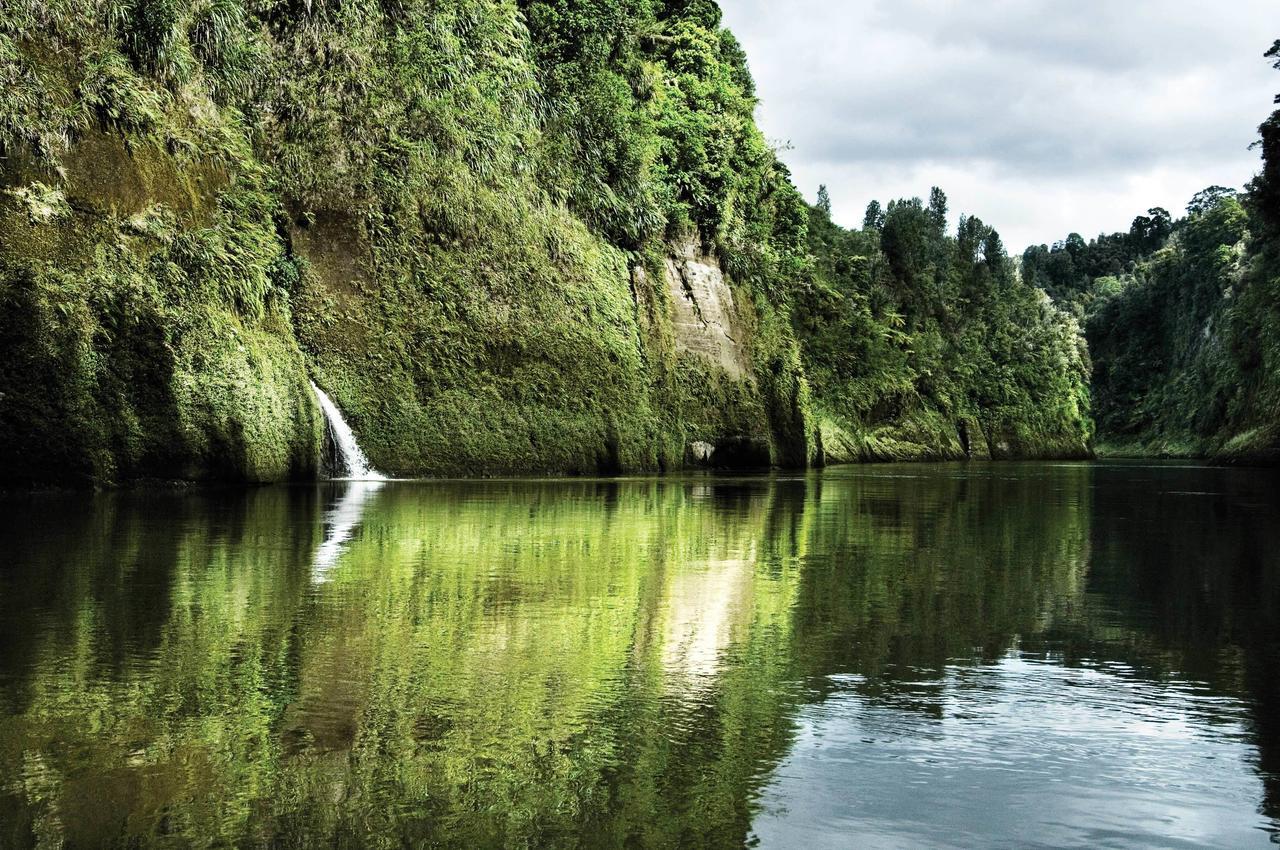 Beech Tree Lodge Ohakune Ngoại thất bức ảnh